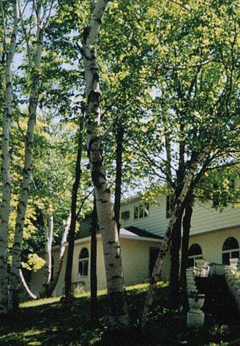 White Birch Inn スタージョンベイ エクステリア 写真
